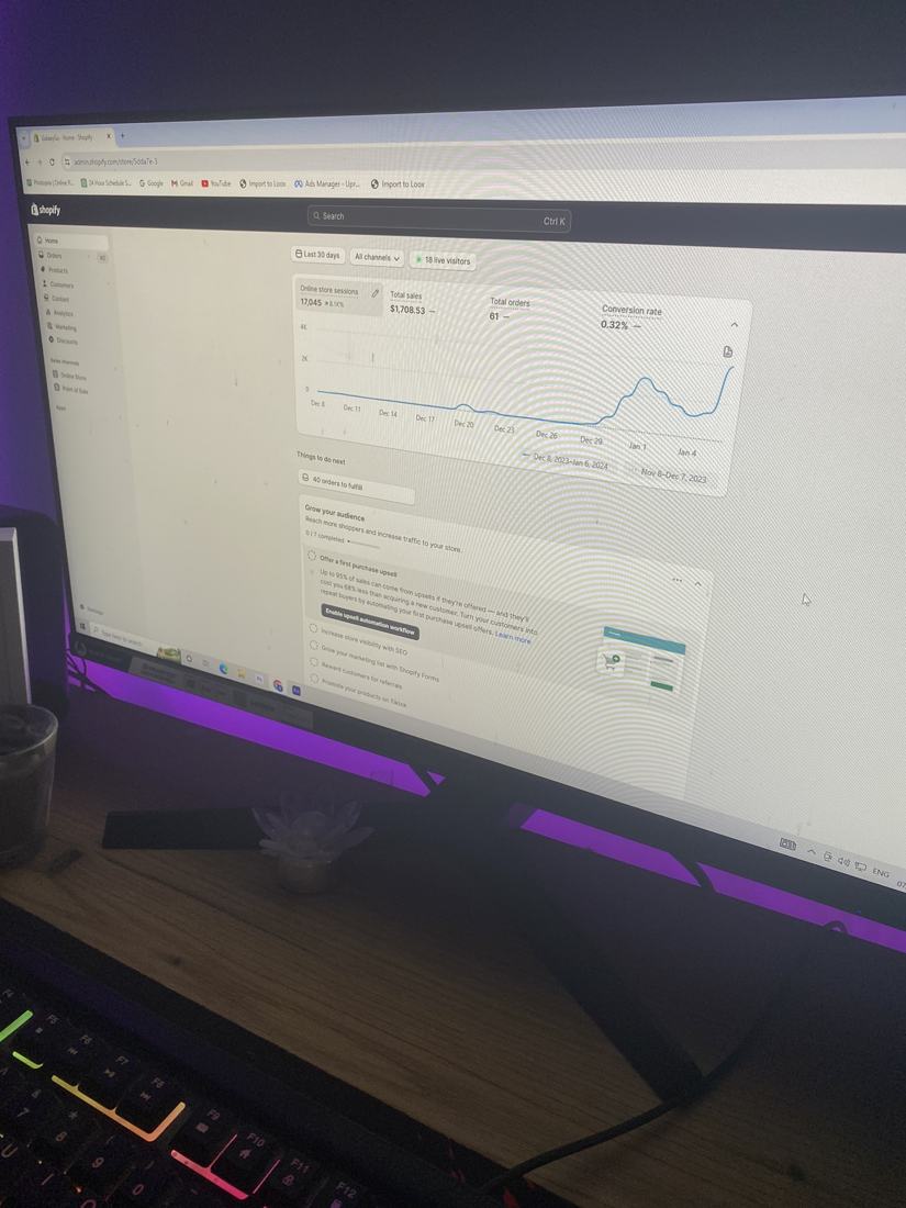 Shopify: 17.045 sesija, 61 porudžbina